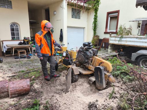 Wurzelstockentfernung